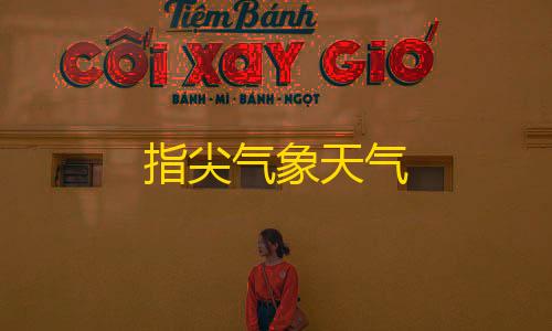 免费直装科技(防封)指尖气象天气